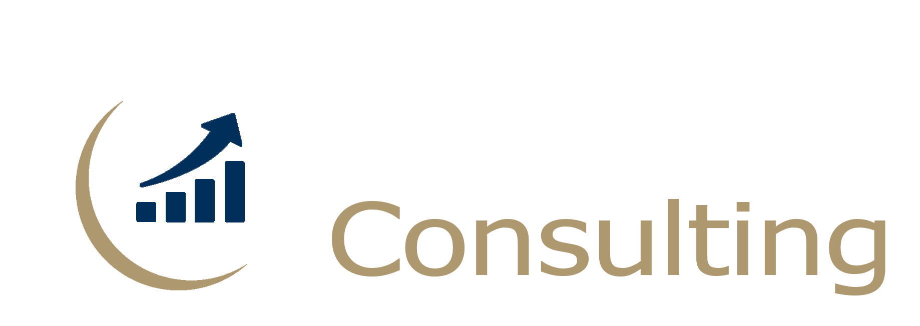 Business Consulting Hübner