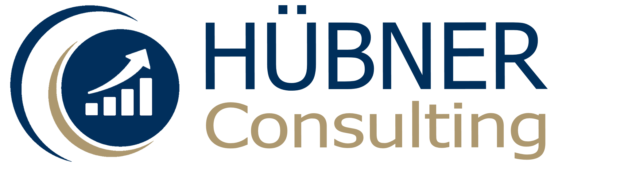 Business Consulting Hübner